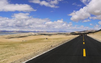 LA RESILIENCIA EN LA EMPRESA