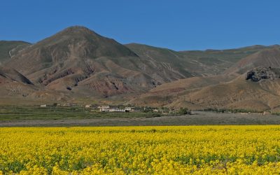 EL MILAGRO DEL PRIMER DESCUBRIMIENTO