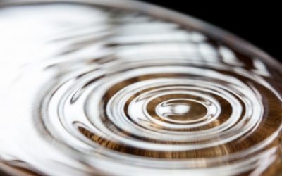 Curar las HERIDAS EMOCIONALES con MINDFULNESS