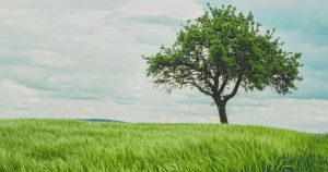 Psicologia y Mindfulness Madrid. Lola López psicología.